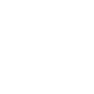 LinkedInICON